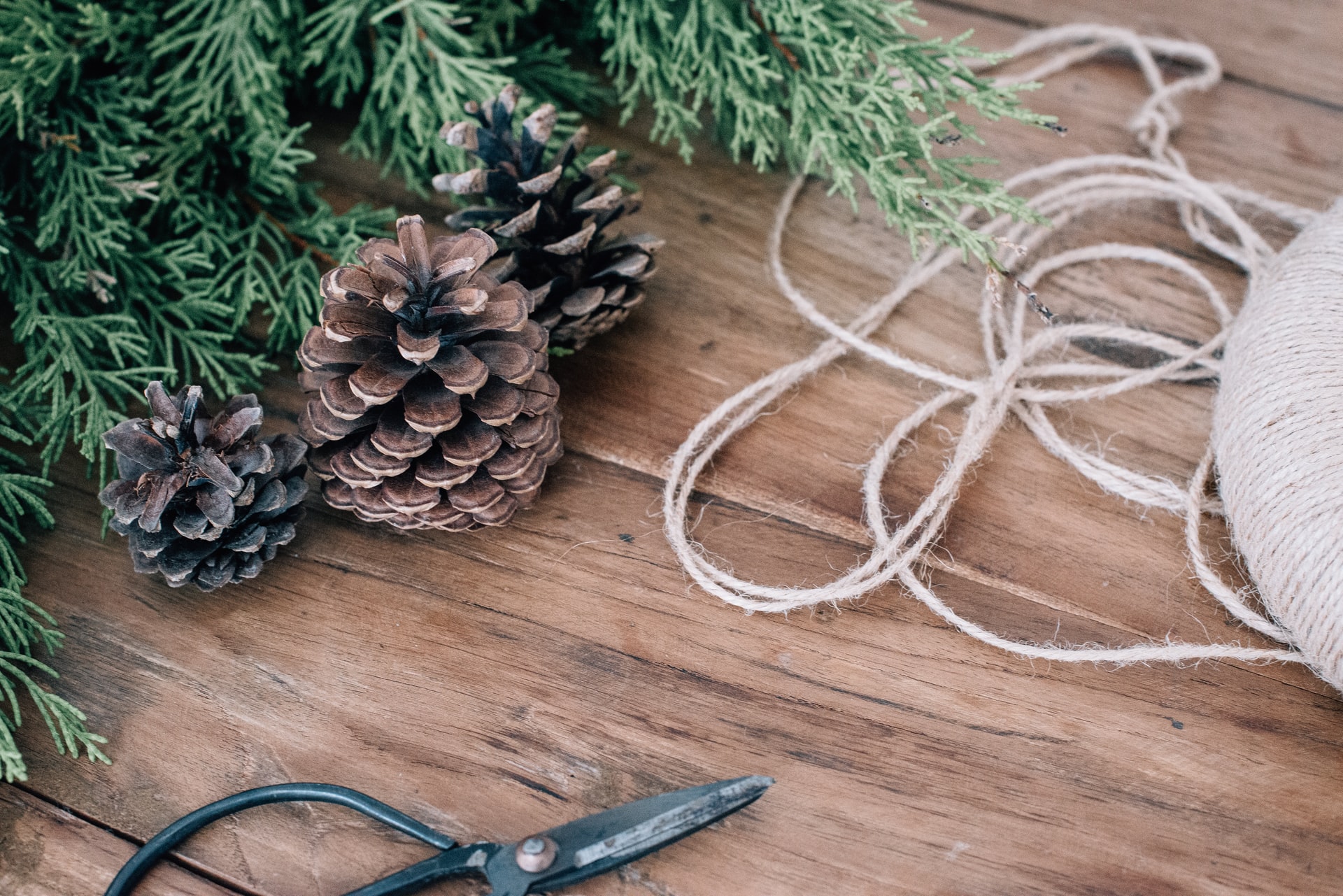 Unconventional Holiday Decor You Can DIY Today